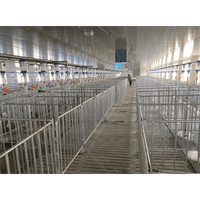 Structure en acier préfabriquée haute résistance antirouille pour porcherie |   Grange modulaire en métal pour l'élevage commercial de porcs