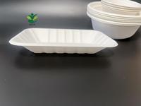Assiettes à pulpe de bagasse Vaisselle jetable personnalisable Boîte à lunch scolaire dégradable Plateau à emporter sans plastique