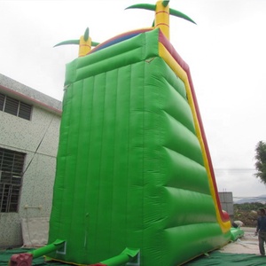 Chất lượng tốt nhất cây cọ nước Slide sân sau Inflatable - Product Image 4