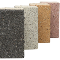 Briques réfractaires à porosité solide en briques d'argile rouge en céramique autoclavées durables pour la construction de murs compatibles avec la vente