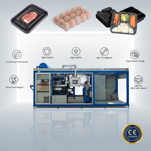 Machine de thermoformage pour barquettes à œufs en plastique haute performance, conteneurs alimentaires, production stable, conception économe en énergie, service commercial fiable - Product Image 1