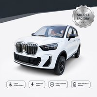 SUV électrique compact pour ville, petite taille, 5 portes, véhicule à énergie nouvelle, stationnement facile, conduite à gauche/droite, voiture électrique