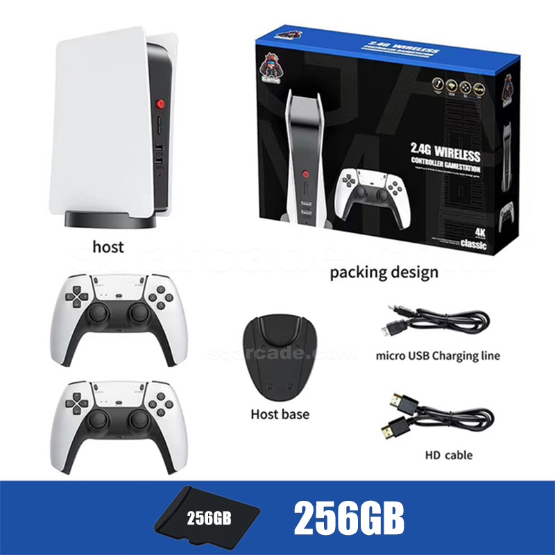 256GB