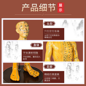 Modèle de méridien masculin Huayikang 50 cm, figurine de points d'acupuncture en PVC réutilisable, modèle de médecine traditionnelle chinoise - Product Image 5