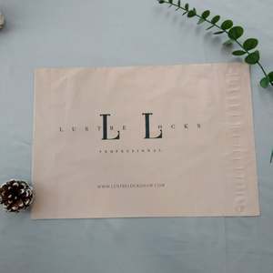 Biodegradable Custom Logo Luxury Envelope Mail <b>Bag</b> Tear-Resistant <b>Clothing</b> <b>Packaging</b> Shipping <b>Bag</b> - Product Image 1
