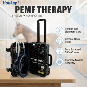 Appareil PEMF personnalisable non invasif pour animaux, massage corporel, réduction de la douleur, thérapie PEMF pour clinique vétérinaire - Product Image 1