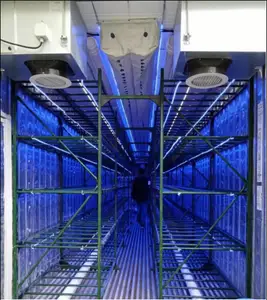 Большой контейнер для выращивания грибов 20/40 футов, умная система камеры для плодоношения грибов