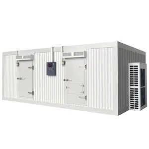 Chinese Supplier blast freezer cold room cold and frozen storage room