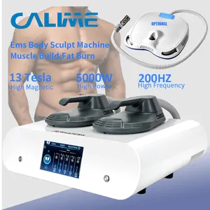 Homeuse Beauty Equipment Portable Mini Ems RF Slim Machine Pelvic Cushion Muscle Stimulator Build Body Shape Sculpt Emslim