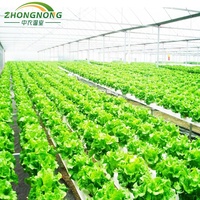 Kits de Invernadero Agrícola de Gran Tamaño y Bajo Costo, de un Solo Vano, de PE, para Cultivo de Flores, con Control de Temperatura para Plantación Durante Todo el Año