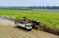 Récolteuse de canne à sucre chinoise S935TA avec moteur et boîte de vitesses automatiques, machine agricole