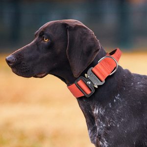 Quick Release Nylon Rope Dog Leash Pet Collars & Leashes Print Customized Color Durable Tactical Dog Collar With Handle Nylon - Product Image 5
