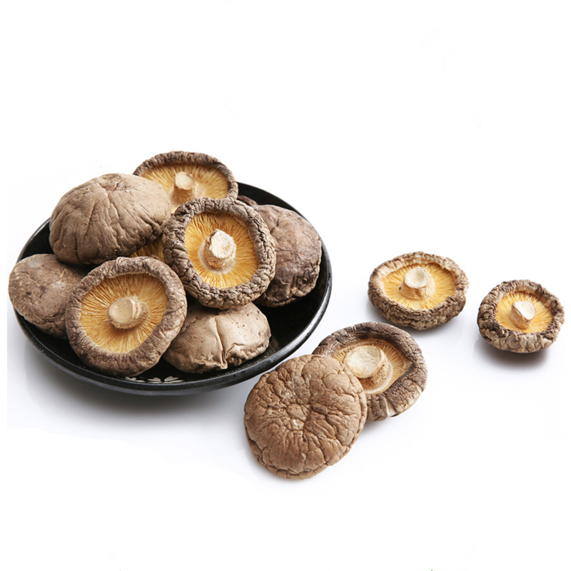 Gros Haute Qualité Santé Organique Séchée Shiitake Champignons