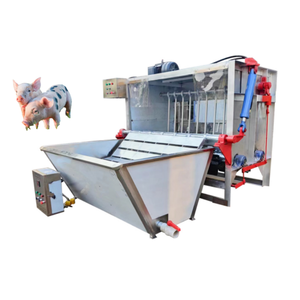 Pig Processing Equipment Pig Dehairing Machine for Sale Pig Slaughter Line - Product Image 6