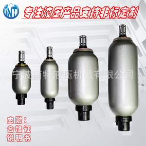 Acumulador de vejiga hidráulica Nxq de 6.3L y 31.5Mpa de acero al carbono para uso industrial - Product Image 2