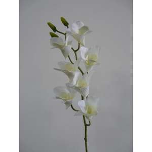 สเปรย์เดนโดรบิโอ 59 ซม. WH - Product Image 1