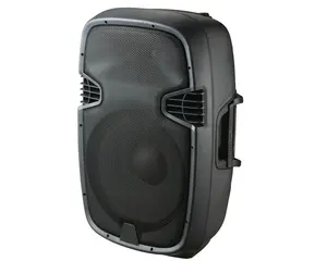 PP-2115 Perfect Sound Quality Sound Box Speaker Passive speaker box professional