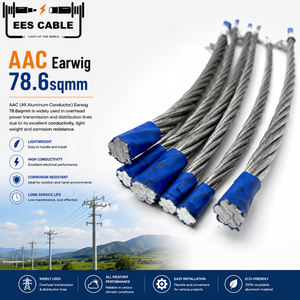 Câble BS EN Standard <span class=keywords><strong>Earwig</strong></span> 78,6 mm² 7/3,78, conducteur tout aluminium AAC, produit industriel extérieur très demandé - Product Image 1