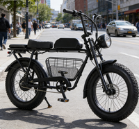 Bicicleta eléctrica para adultos, bicicleta eléctrica de largo alcance para desplazamientos, bicicleta eléctrica para mascotas, bicicleta eléctrica todoterreno con cesta, bicicleta eléctrica urbana para desplazamientos.