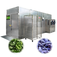 Industriële kardemomdroogmachine, fruit- en groentedroger, machines voor de verwerking van fruit en groenten
