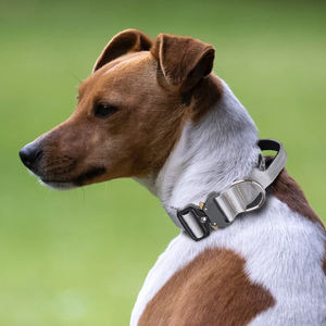 टॉपमित्र प्रीमियम मोटी प्रशिक्षण कुत्ते कॉलर के साथ हैंडल पालतू कॉलर - Product Image 4