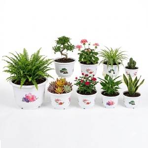 Série de pots de saison, 9 tailles, en plastique PP, motif bonsaï, pot rond pour plantes avec large rebord, du petit au grand, pour les fournitures de centre de jardinage - Product Image 1