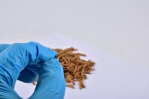 SINO CROWN Ver <span class=keywords><strong>de</strong></span> <span class=keywords><strong>farine</strong></span> séchée pour les additifs alimentaires secs - Product Image 3