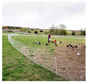 Cerca Eléctrica para ovejas/pollos/caballos, Red con postes, red para aves de corral