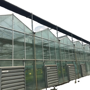 Panel de lámina de plástico para invernadero, sistema de cultivo hidrofonico de policarbonato - Product Image 5