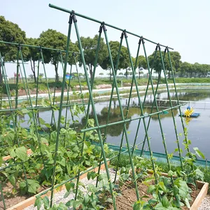Vườn thực vật hỗ trợ Cọc hỗ trợ cổ phần nhựa bọc kim loại cà chua dính