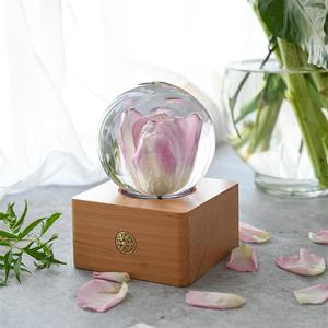 Globo de Resina con Tulipán Preservado, Flor Real en Resina <span class=keywords><strong>Cristal</strong></span>, Lámpara de Escritorio con Luz Nocturna y Batería Recargable, Decoración para Regalo de San Valentín - Product Image 1