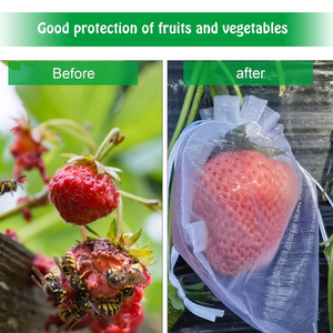 Borsa a rete per protezione vegetale con <span class=keywords><strong>maniche</strong></span> a rete sacchetti a rete Mini <span class=keywords><strong>Organza</strong></span> con coulisse sacchetti regalo per piante e fiori fioriere e vasi di fiori - Product Image 5