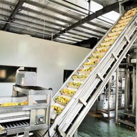 Kant-En-Klare Oplossing Voor Mango/Ananas/Passievrucht/Guave/Kokosvruchtenpulp Die Machine Vruchtensap Productielijn Maken