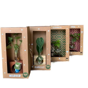 Bolsa de papel Kraft marrón de estilo vintage con asa retorcida para arreglos florales Suministro de floristería - Product Image 1