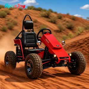 Apexjoy Polaris 3 Plus - Go Kart Todoterreno 4000W 120km/h Transmisión <span class=keywords><strong>de</strong></span> Dos Velocidades Pintura <span class=keywords><strong>de</strong></span> Calidad Automotriz Cuatro Ruedas Venta <span class=keywords><strong>al</strong></span> Por Mayor - Product Image 4