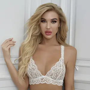 Factory Direct Sale French Wire-Free Thin Cup Bralette Sexy Lace Triangle Cup Bra Cotton Bra Transparent Lace Sexy Bra
