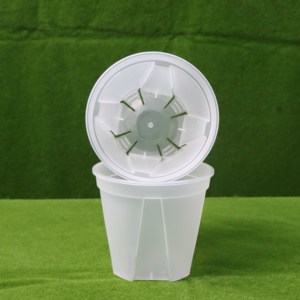 Epipresnum-maceta redonda de plástico grueso para jardín, Rosa 4,7, 5,9, 7 pulgadas, transparente, nueva - Product Image 4