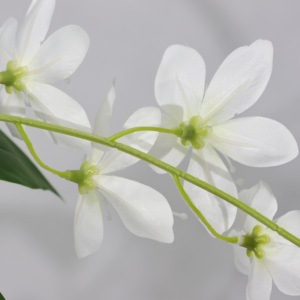 <span class=keywords><strong>Jasmin</strong></span> artificiel de haute qualité pour décoration de mariage, idéal pour l'intérieur - Product Image 4