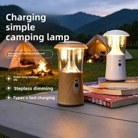 Lampe de camping portable à filament de tungstène pour l'extérieur, lampe de camping LED multifonctionnelle rechargeable avec éclairage longue durée