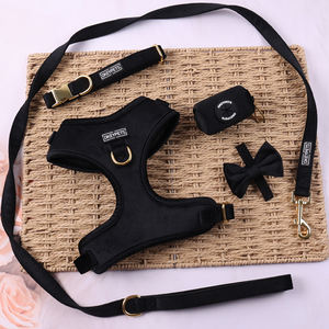 Grosir OEM warna hitam disesuaikan beludru kekang anjing Set disesuaikan warna-warni tahan lama gaya modis <span class=keywords><strong>Harness</strong></span> untuk anjing - Product Image 1