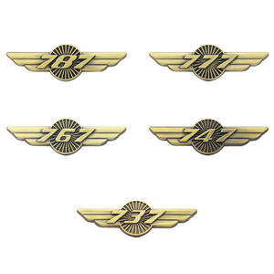 Bán Buôn Kẽm Hợp Kim Hàng Không Cánh Kim Loại Boeing 717 737 747 757 777 787 Máy Bay Cánh Ve Áo Pin - Product Image 2