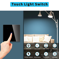 Touchmi Wholesale Prijs Smart Home Gehard Glas Led Light Schakelaar Smart Home Elektrische Stopcontact