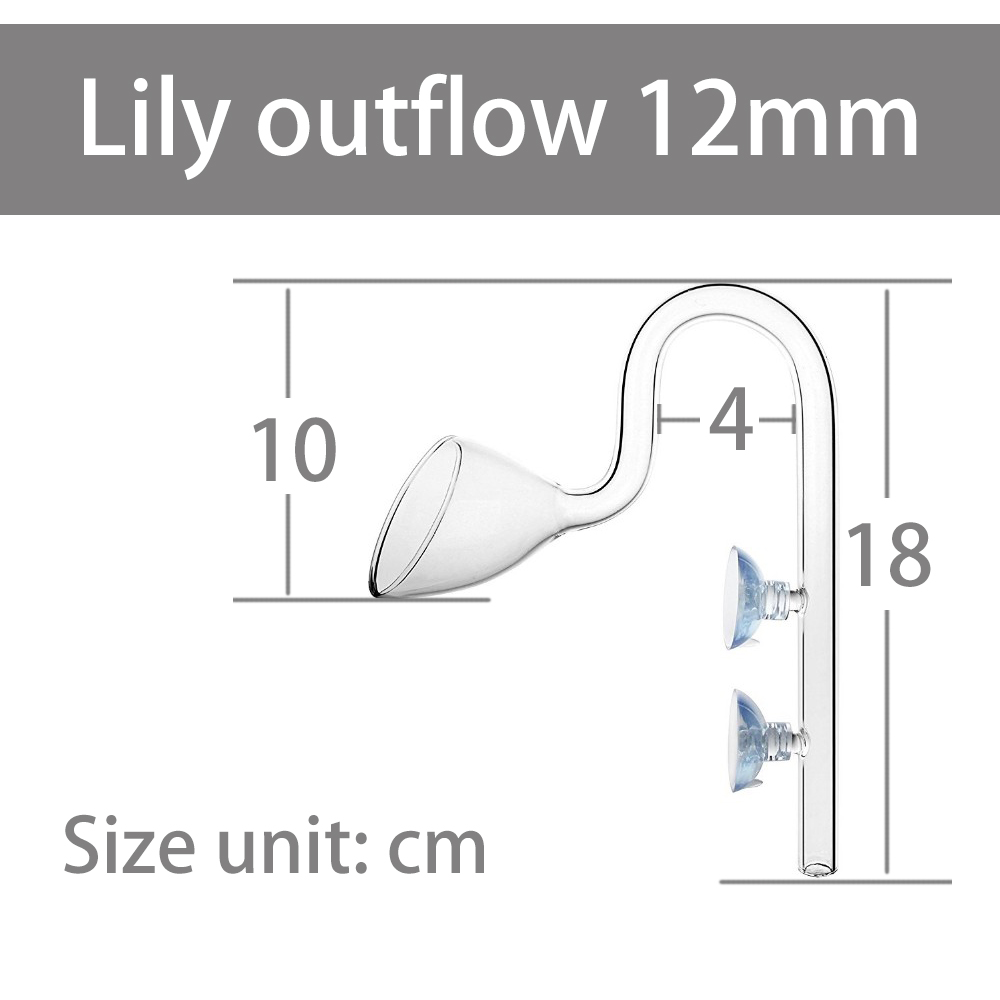 Lily sortie 12mm