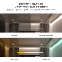 Contrôleur de bande lumineuse adressable ESann DC5-24V pour maison intelligente, gradateur LED 0-100% RGB/RGBW, compatible WS2811 WS2812B SK6812