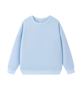 เสื้อสเวตเชิ้ตผ้าฟลีซคอกลมสีฟ้าแบบเรียบง่ายสำหรับผู้หญิง ทรงปกติ นุ่มสบาย ใส่ได้ทุกวัน ขายส่งสำหรับร้านบูติกในสหรัฐอเมริกา สหราชอาณาจักร และยุโรป - Product Image 1