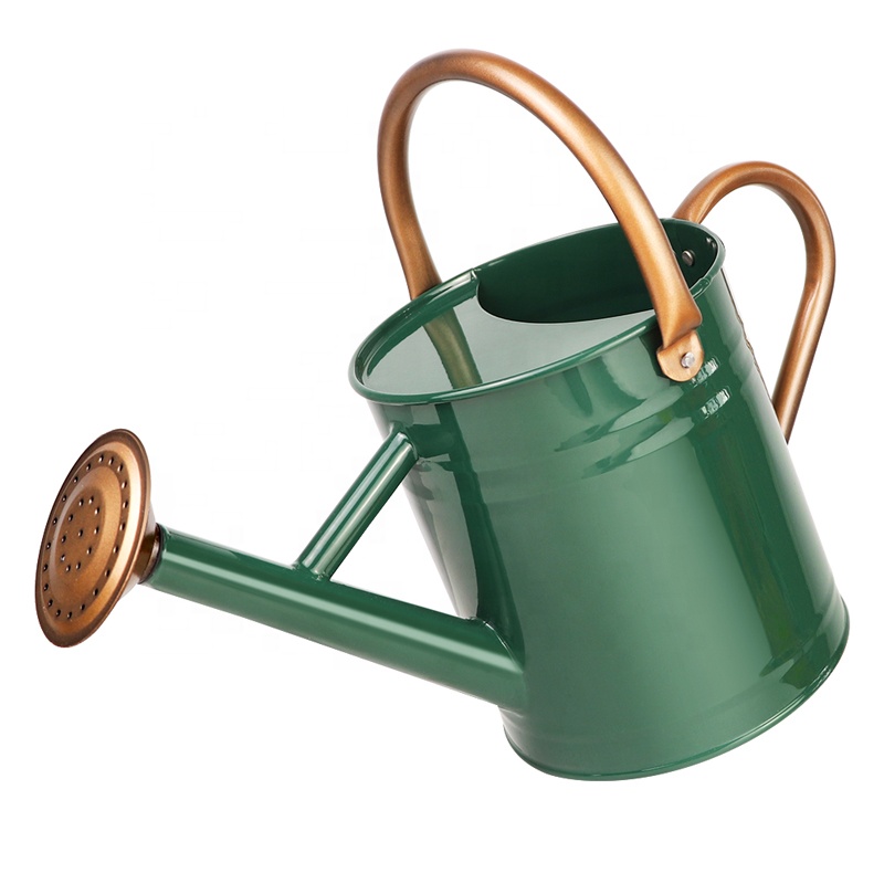 2.4L Green Garden Water Cans Galvanized Metal Watering Can with Detachable Nozzle for Indoor & Outdoor Anti-rust Powder Coating