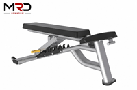 Banc de musculation réglable de haute qualité, adapté à un usage commercial et domestique.