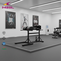 Équipement de fitness pour la gym : Bancs d'hyperextension inversée, bancs d'exercices pour le renforcement du bas du dos, chaise romaine