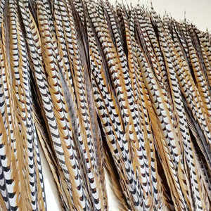 Nhà Sản Xuất Nhà Máy Trực Tiếp Giá Rẻ Giá Top Chất Lượng 22-24 Inch Tự Nhiên Reeves Gà lôi Lông Cho Bán - Product Image 5