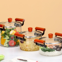 Vente en gros OEM de marmites et faitouts modernes en verre transparent avec poignées résistantes à la chaleur, compatibles sans BPA, ustensiles de cuisine sans danger pour les aliments
